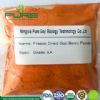 freeze-dried organic goji powder